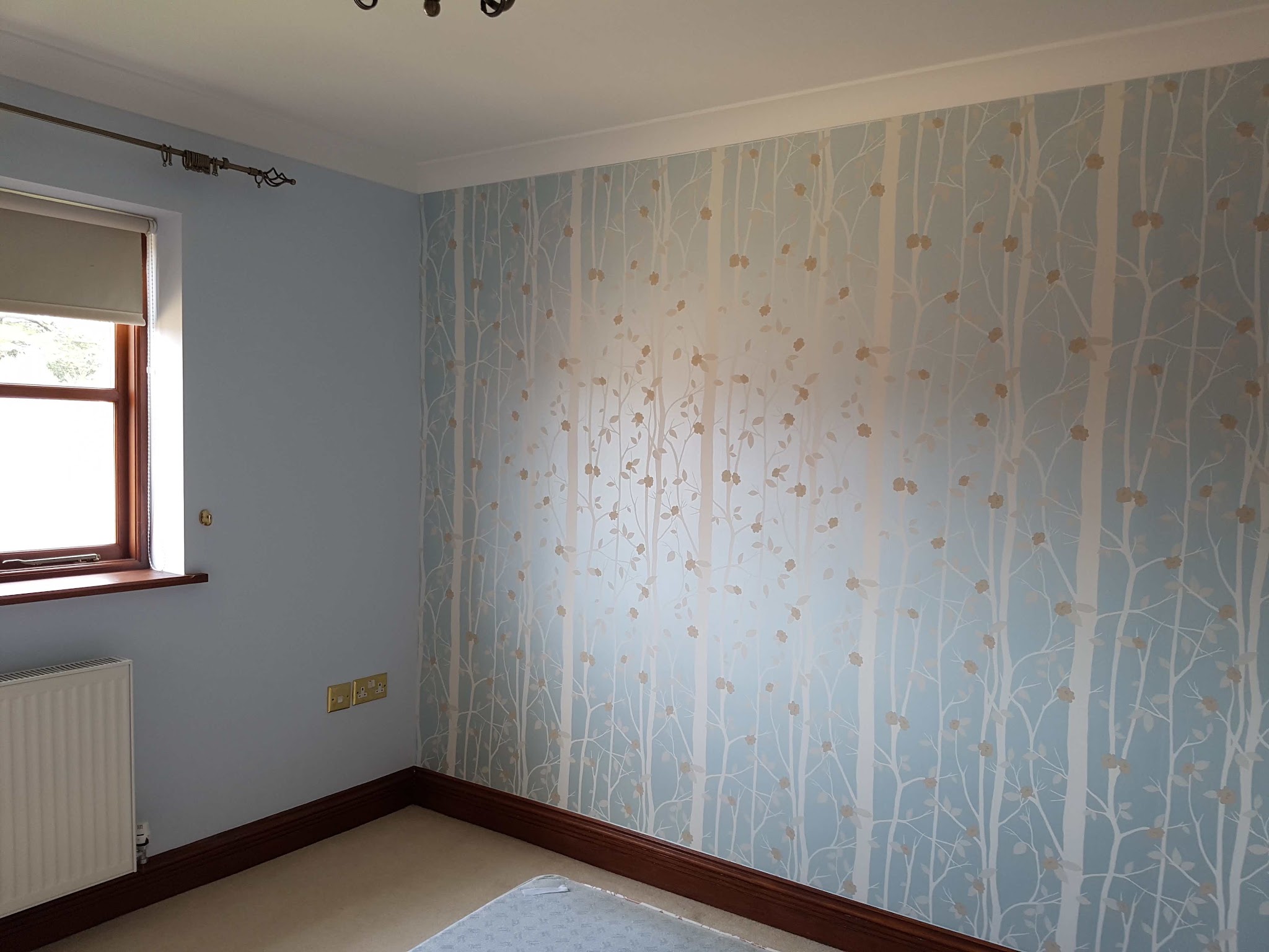 Bedroom with a birch tree feature wallpaper on pale blue walls